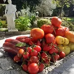 La Des Remparts Bed and Breakfast Labastide-dʼArmagnac
