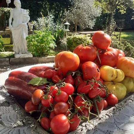 La Des Remparts Bed and breakfast Labastide-dʼArmagnac